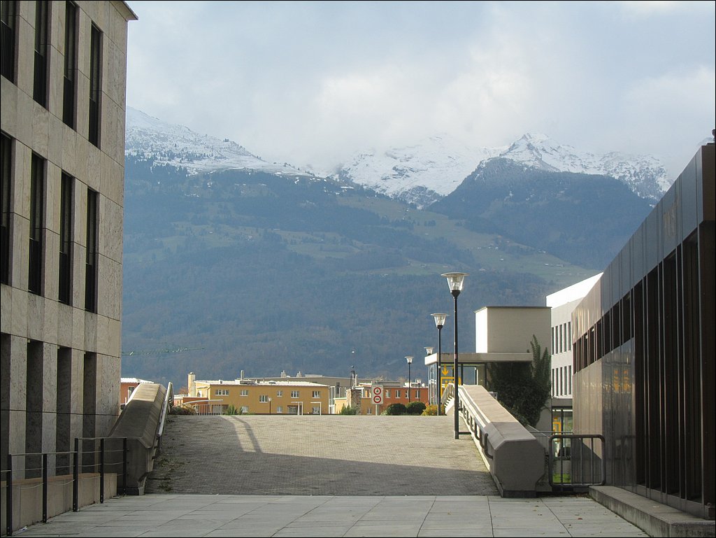 IMG_4648.JPG