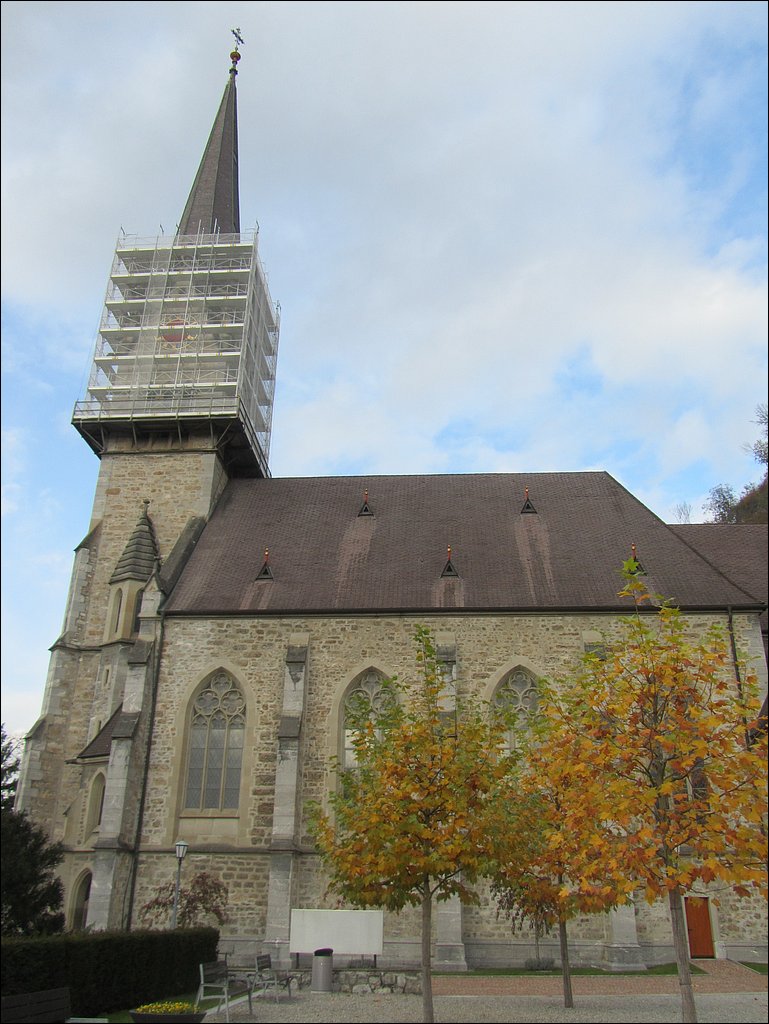 IMG_4698.JPG