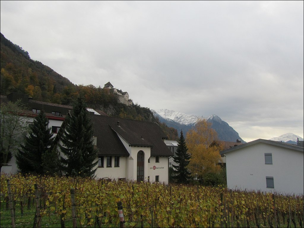 IMG_4741.JPG