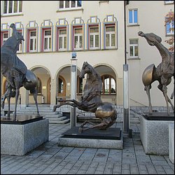 IMG_4625.JPG