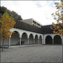 IMG_4696.JPG