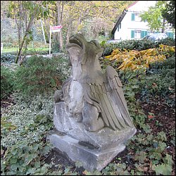 IMG_4701.JPG