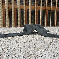IMG_4709.JPG