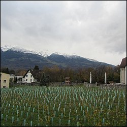 IMG_4723.JPG