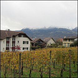 IMG_4739.JPG