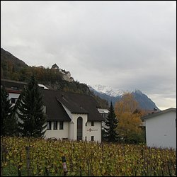 IMG_4741.JPG