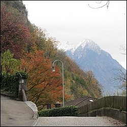 IMG_4749.JPG