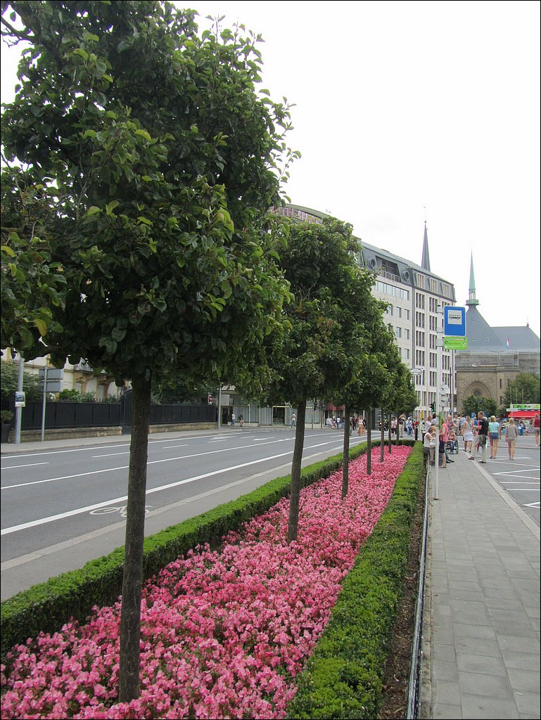 IMG_1334.JPG