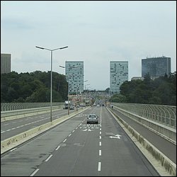 IMG_1305.JPG