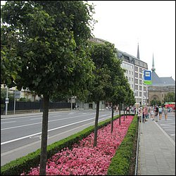 IMG_1334.JPG