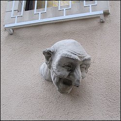 IMG_1414.JPG