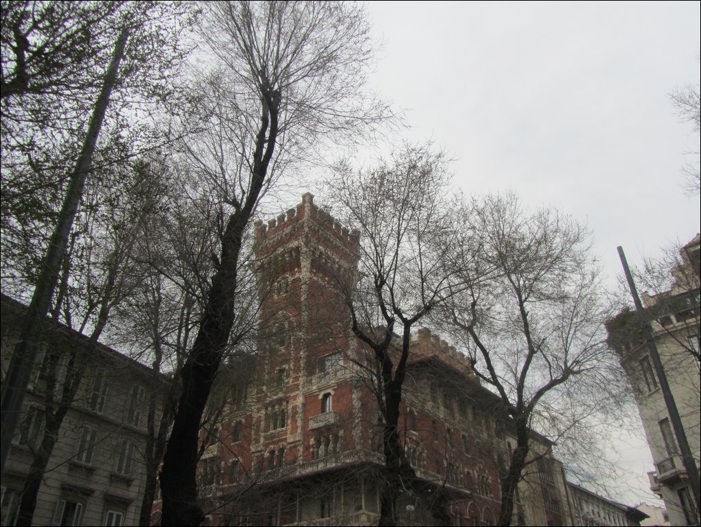 IMG_6683.JPG