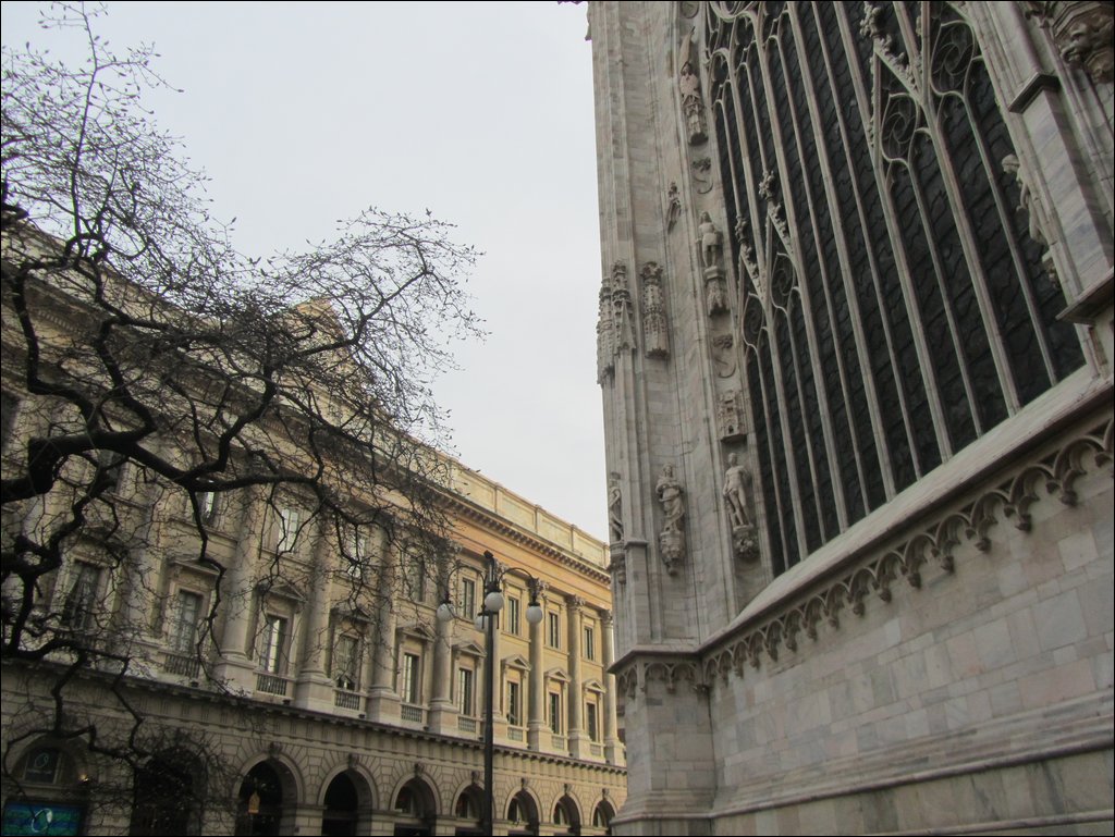 IMG_6750.JPG
