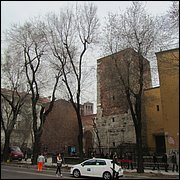 IMG_6682.JPG