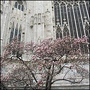 IMG_6753.JPG