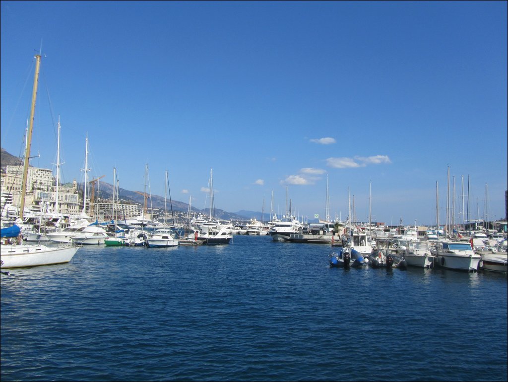 IMG_6195.JPG