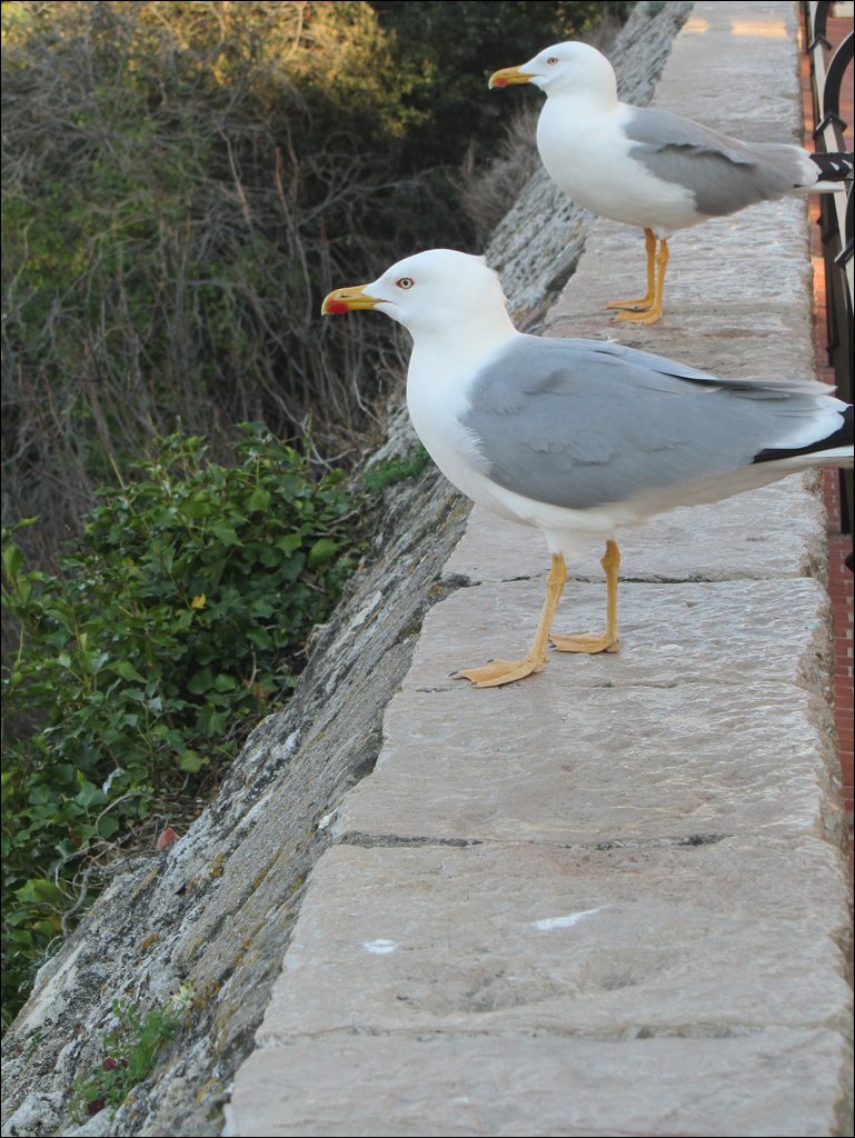 IMG_6315.JPG