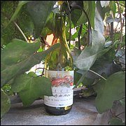 IMG_6176.JPG