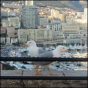 IMG_6311.JPG