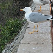 IMG_6315.JPG