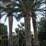 IMG_6365.JPG