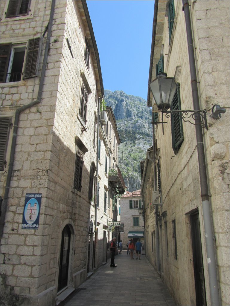 IMG_7688.JPG