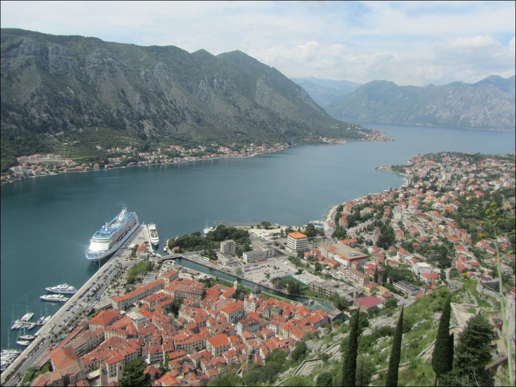 IMG_7800.JPG