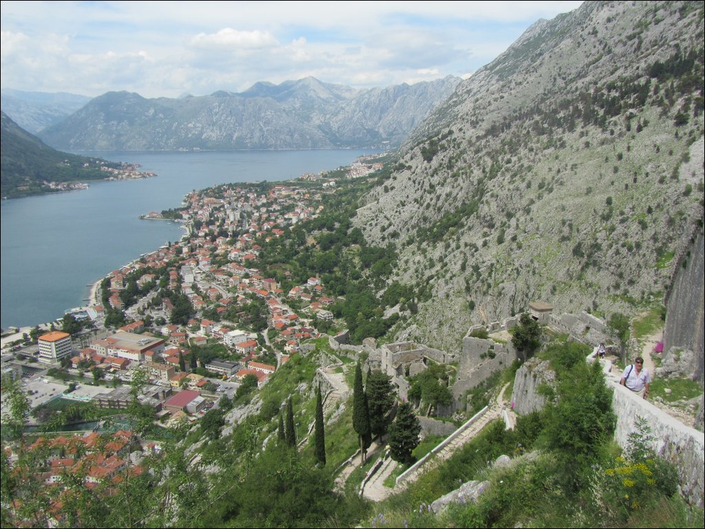 IMG_7802.JPG