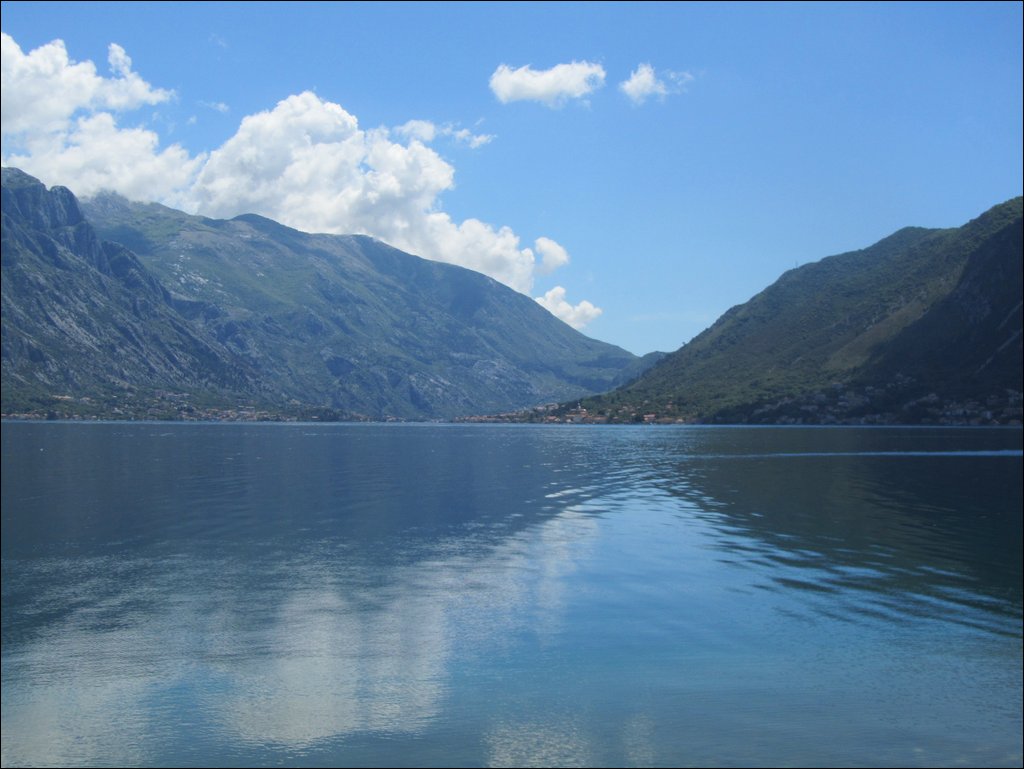 IMG_8095.JPG
