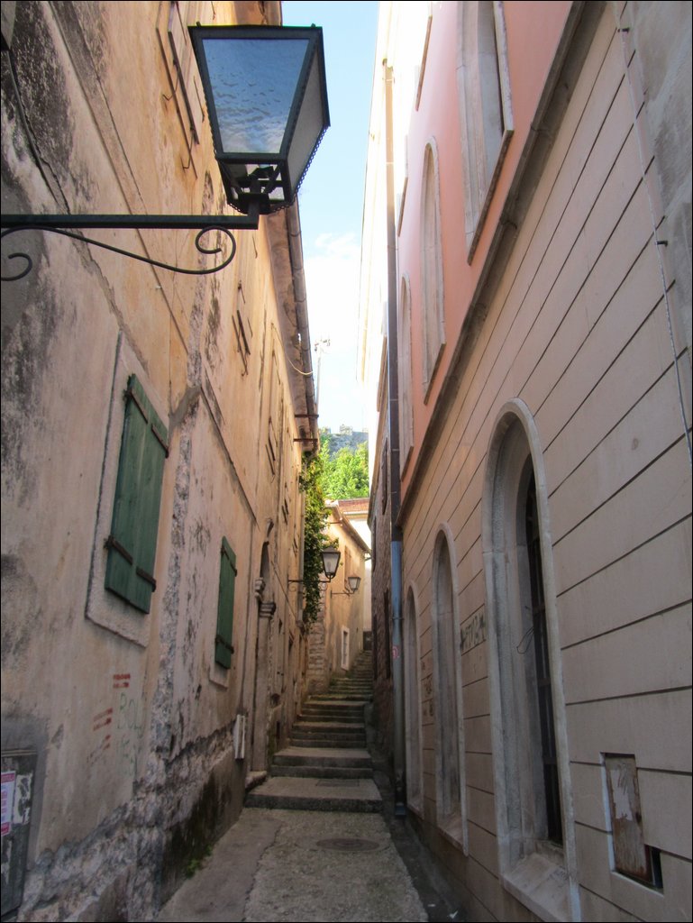IMG_8216.JPG