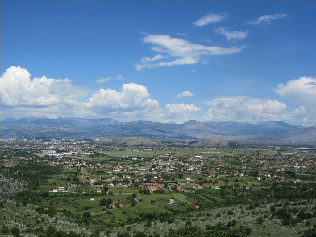 IMG_8280.JPG