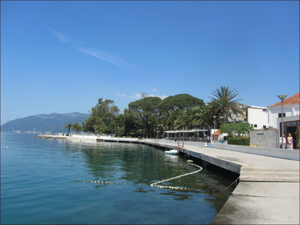 IMG_8493.JPG