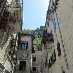IMG_7672.JPG