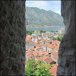 IMG_7742.JPG