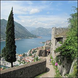 IMG_7795.JPG