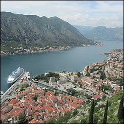 IMG_7800.JPG