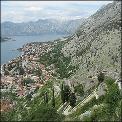 IMG_7802.JPG