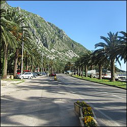 IMG_8209.JPG