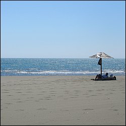 IMG_8336.JPG
