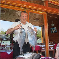 IMG_8350.JPG