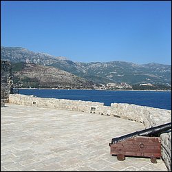 IMG_8439.JPG