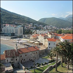 IMG_8446.JPG
