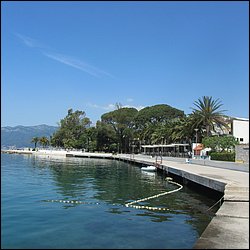 IMG_8493.JPG