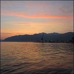 IMG_8535.JPG