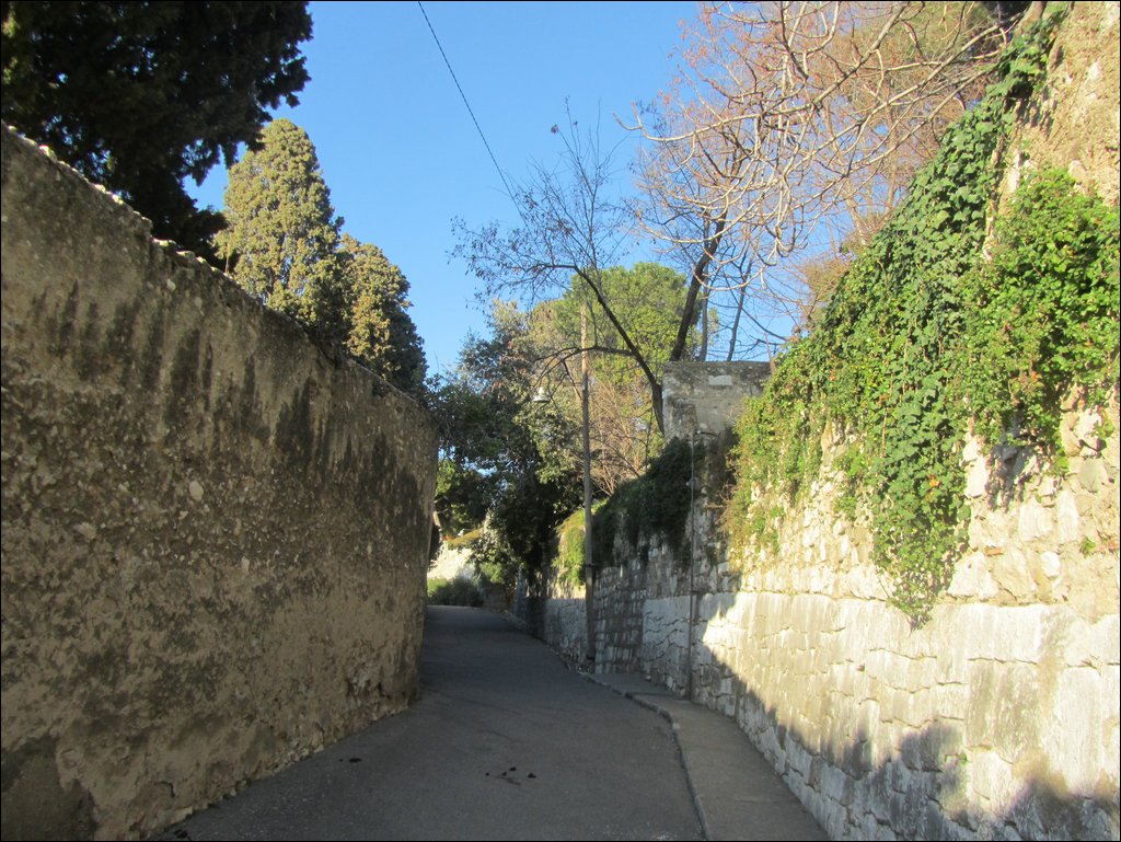 IMG_6463.JPG