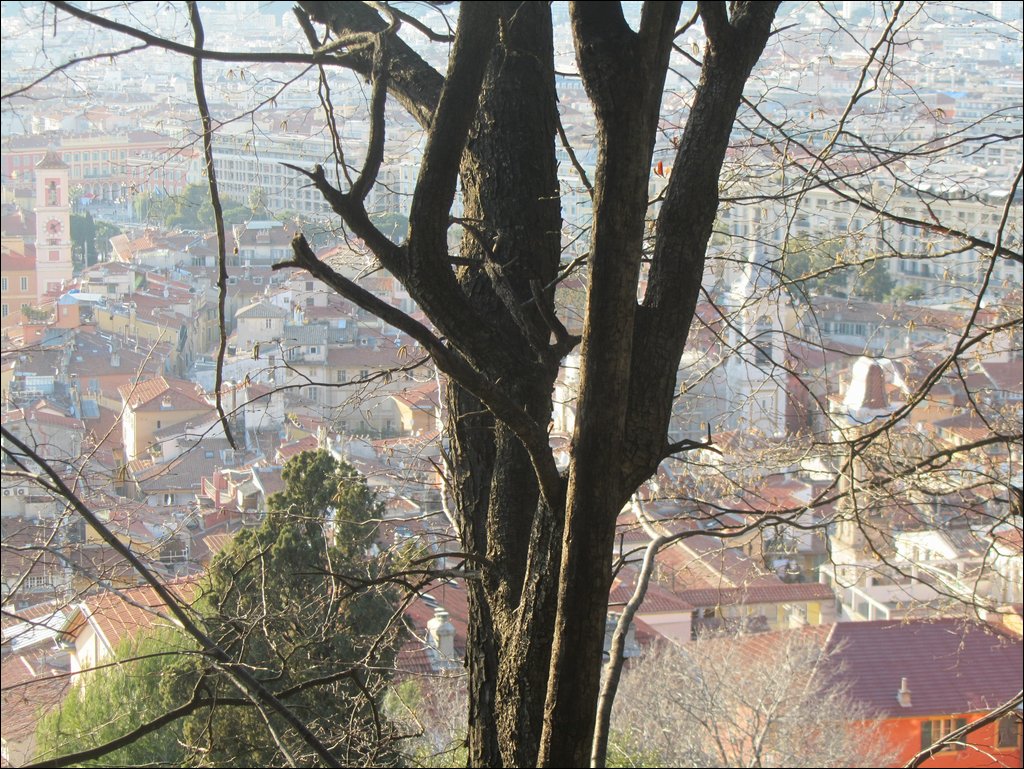 IMG_6473.JPG