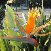 IMG_6049.JPG