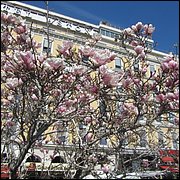IMG_6386.JPG