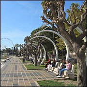 IMG_6388.JPG