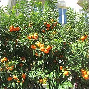 IMG_6443.JPG